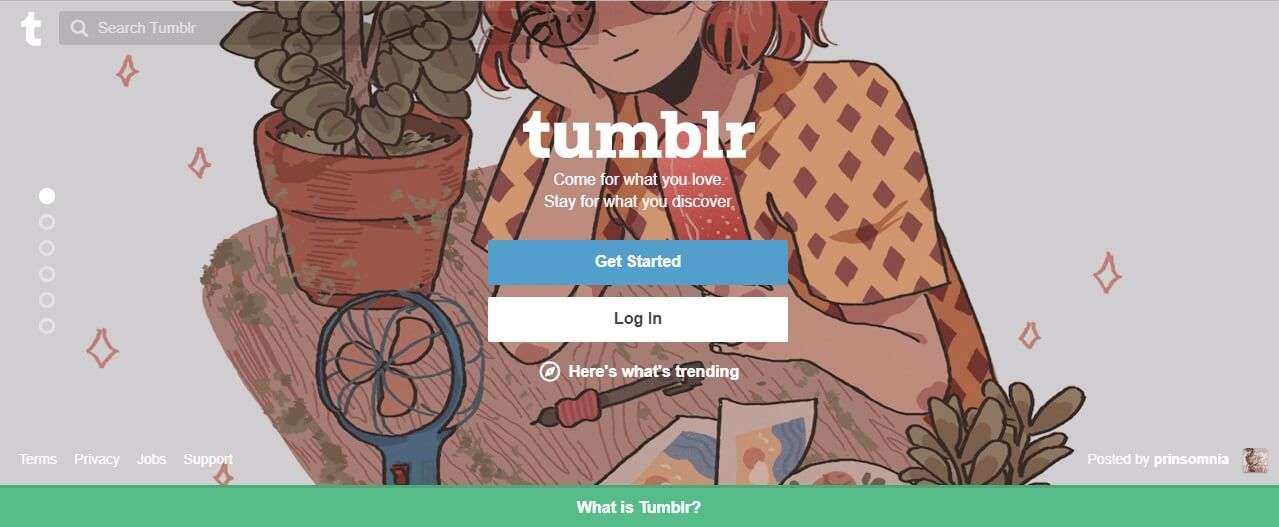 tumblr- how to start a blog for free - 1